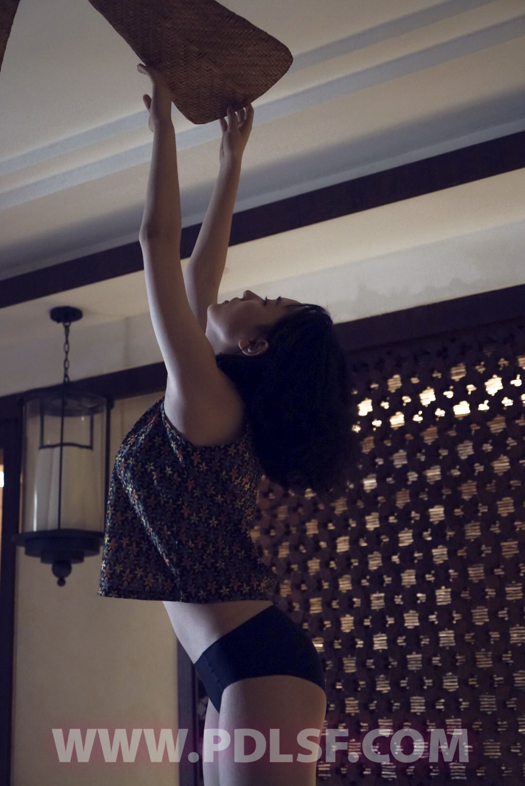 PDL潘多拉 2020.03.02 专辑No.282